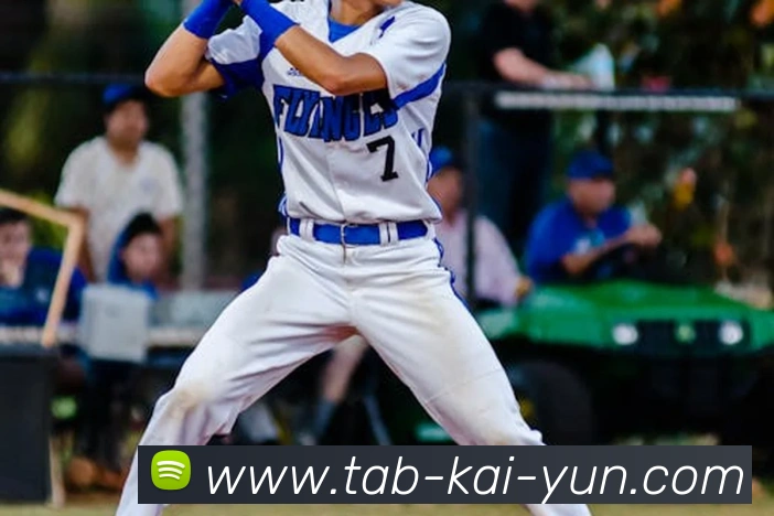 开云平台生态图